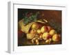 Christmas Fruit and Nuts-Eloise Harriet Stannard-Framed Giclee Print