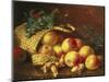 Christmas Fruit and Nuts-Eloise Harriet Stannard-Mounted Giclee Print