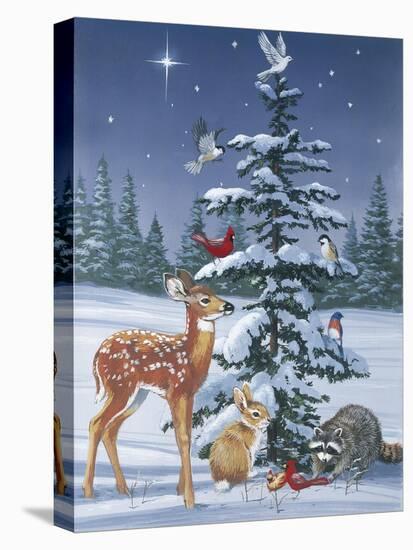 Christmas Gathering-William Vanderdasson-Stretched Canvas