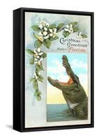 Christmas Greetings from Florida, Alligator-null-Framed Stretched Canvas