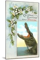Christmas Greetings from Florida, Alligator-null-Mounted Art Print