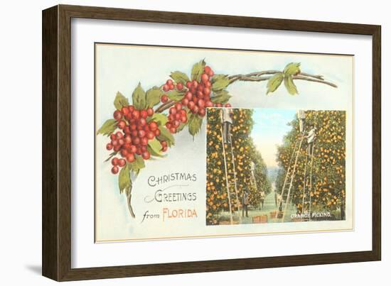Christmas Greetings from Florida-null-Framed Art Print