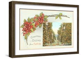 Christmas Greetings from Florida-null-Framed Art Print