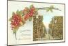 Christmas Greetings from Florida-null-Mounted Art Print