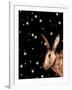 Christmas Hare-Sarah Thompson-Engels-Framed Giclee Print