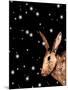 Christmas Hare-Sarah Thompson-Engels-Mounted Giclee Print