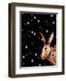 Christmas Hare-Sarah Thompson-Engels-Framed Giclee Print