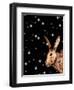 Christmas Hare-Sarah Thompson-Engels-Framed Giclee Print