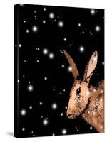 Christmas Hare-Sarah Thompson-Engels-Stretched Canvas