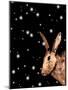 Christmas Hare-Sarah Thompson-Engels-Mounted Giclee Print