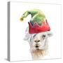 Christmas Hat Llama-Lanie Loreth-Stretched Canvas