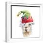 Christmas Hat Llama-Lanie Loreth-Framed Art Print