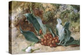 Christmas Holly-Jabez Bligh-Stretched Canvas