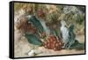 Christmas Holly-Jabez Bligh-Framed Stretched Canvas