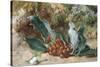 Christmas Holly-Jabez Bligh-Stretched Canvas