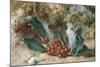 Christmas Holly-Jabez Bligh-Mounted Giclee Print