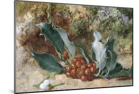 Christmas Holly-Jabez Bligh-Mounted Giclee Print