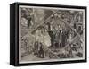 Christmas in Leap Year-Florence Claxton-Framed Stretched Canvas