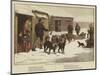 Christmas in Manitoba-null-Mounted Giclee Print