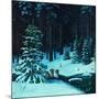 Christmas In the Forest-Stan Galli-Mounted Giclee Print