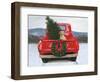 Christmas in the Heartland IV Ford-James Wiens-Framed Art Print