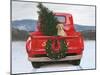 Christmas in the Heartland IV Ford-James Wiens-Mounted Art Print