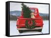 Christmas in the Heartland IV no Words-James Wiens-Framed Stretched Canvas