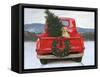 Christmas in the Heartland IV no Words-James Wiens-Framed Stretched Canvas