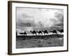 Christmas in the Holyland; a Camel Train on the Road to Jeruselem Palestine-null-Framed Photographic Print