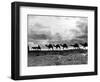 Christmas in the Holyland; a Camel Train on the Road to Jeruselem Palestine-null-Framed Photographic Print