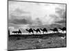 Christmas in the Holyland; a Camel Train on the Road to Jeruselem Palestine-null-Mounted Photographic Print