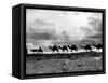 Christmas in the Holyland; a Camel Train on the Road to Jeruselem Palestine-null-Framed Stretched Canvas