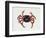 Christmas Island Red Crab (Gecarcoidea Natalis), Gecarcinidae, Artwork by Rebecca Hardy-null-Framed Premium Giclee Print