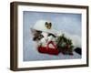 Christmas Kitten in the Snow-Jai Johnson-Framed Giclee Print