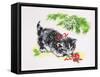 Christmas Kitten-Diane Matthes-Framed Stretched Canvas