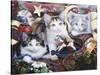 Christmas Kittens and All the Trim'Ns-Jenny Newland-Stretched Canvas