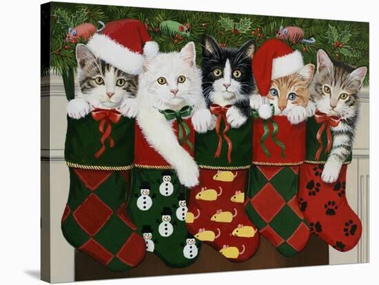 Christmas Kittens-William Vanderdasson-Stretched Canvas