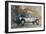 Christmas Lights and 8 Litre Bentley-Peter Miller-Framed Giclee Print