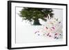 Christmas Lights in Front of Tree-null-Framed Photographic Print