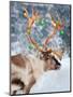 Christmas Lights Reindeer-Lauren Rader-Mounted Art Print