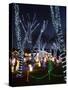 Christmas Lights, Saugus, Massachussets-Lisa Poole-Stretched Canvas