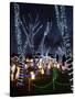 Christmas Lights, Saugus, Massachussets-Lisa Poole-Stretched Canvas