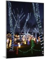 Christmas Lights, Saugus, Massachussets-Lisa Poole-Mounted Photographic Print