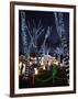 Christmas Lights, Saugus, Massachussets-Lisa Poole-Framed Photographic Print