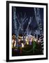 Christmas Lights, Saugus, Massachussets-Lisa Poole-Framed Photographic Print