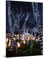 Christmas Lights, Saugus, Massachussets-Lisa Poole-Mounted Photographic Print