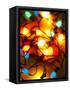 Christmas Lights-Randy Faris-Framed Stretched Canvas