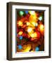 Christmas Lights-Randy Faris-Framed Premium Photographic Print