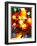 Christmas Lights-Randy Faris-Framed Premium Photographic Print