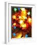 Christmas Lights-Randy Faris-Framed Premium Photographic Print